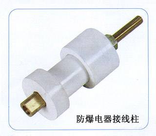 防爆电器接线柱 (2)