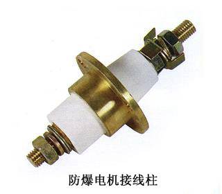 防爆电机接线柱 (2)